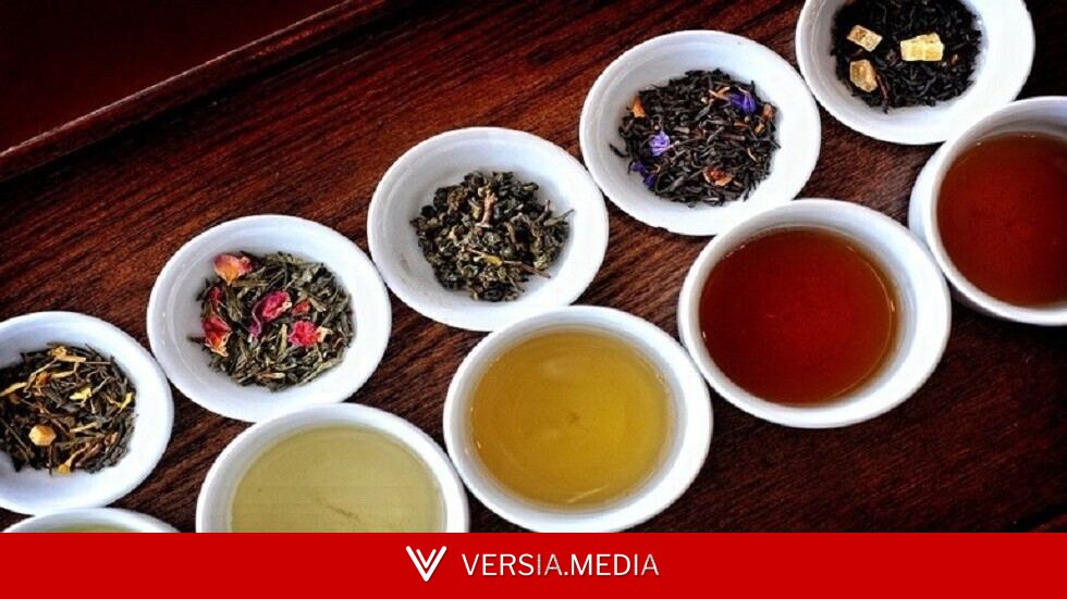 الشاي بين الفائدة والضرر.. ما الكمية الآمنة يوميا؟ — Science | Versia.media